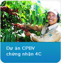 Dự án CPBV chứng nhận 4C - Simexco Daklak - Công Ty TNHH MTV Xuất Nhập Khẩu 2-9 Đắk Lắk